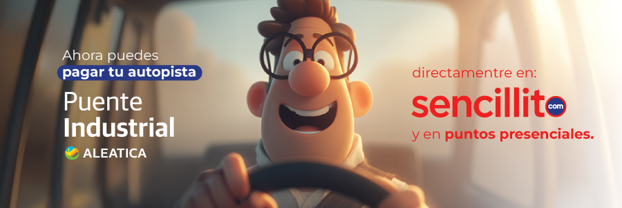 Pagar Puente Industrial